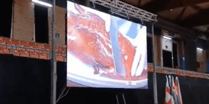 pantallas led eventos