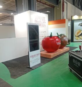 totem alquiler madrid