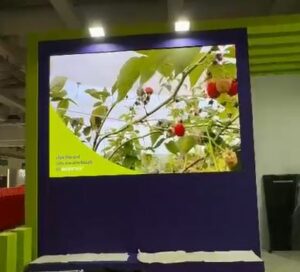 pantalla led alquiler